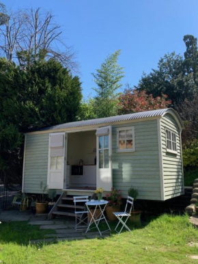 The City Hut
